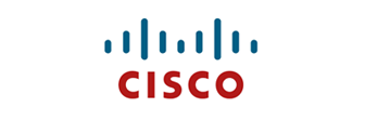 Managed Network Services Partner