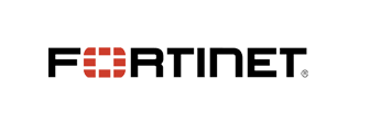 Managed Network Services Partner
